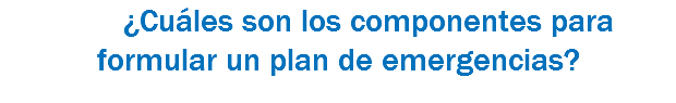  ¿Cuáles son los componentes para formular un plan de emergencias?